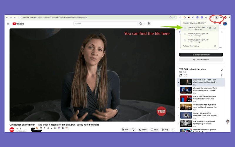 YTVidHub extension subtitle export formats SRT VTT TXT